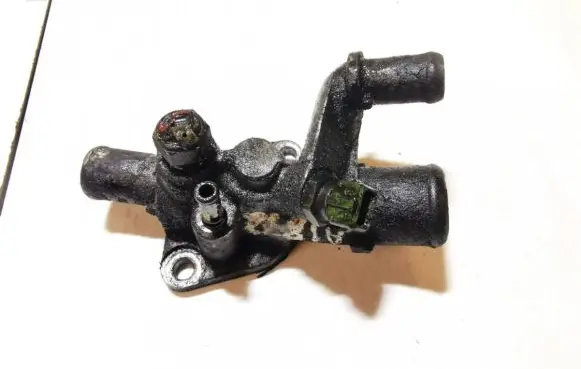 Fiat Marea Engine coolant pipe/hose 7780494