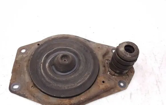 Renault Trafic III (X82) Coil spring/strut mount
