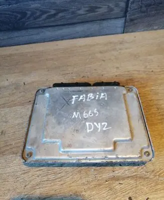 Skoda Fabia Mk1 (6Y) Engine control unit/module