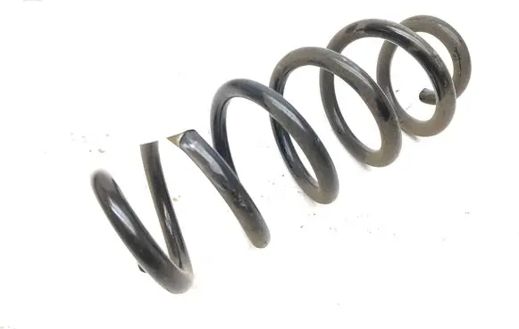 Rear coil spring