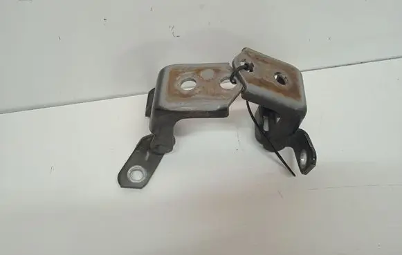 Mazda CX-9 Front door hinge set 
