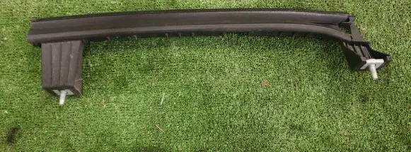 Rear door glass trim molding
