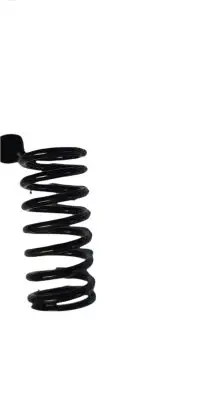 BMW 3 E46 Valve NOCODE