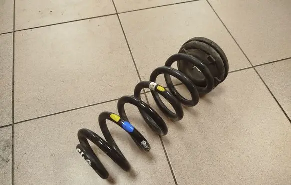 Rear coil spring