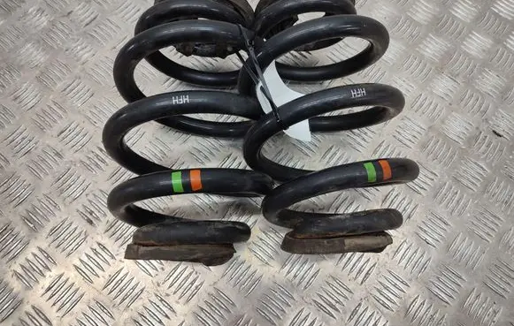Rear coil spring