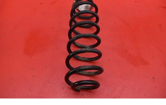 Volkswagen PASSAT B6 Rear coil spring 