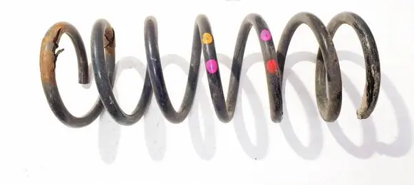 Ford Grand C-MAX Rear coil spring