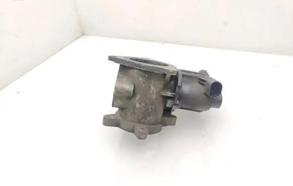 Volkswagen Transporter - Caravelle T5 EGR valve 76131501B 700823040