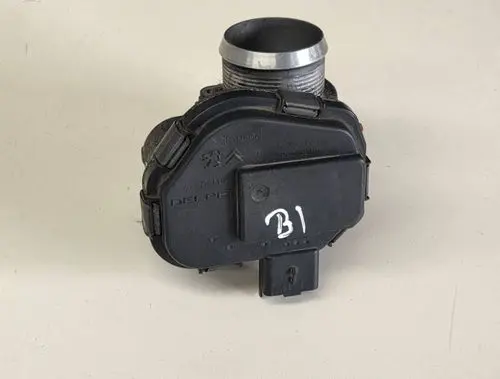 Citroen Berlingo Throttle valve 9673534480