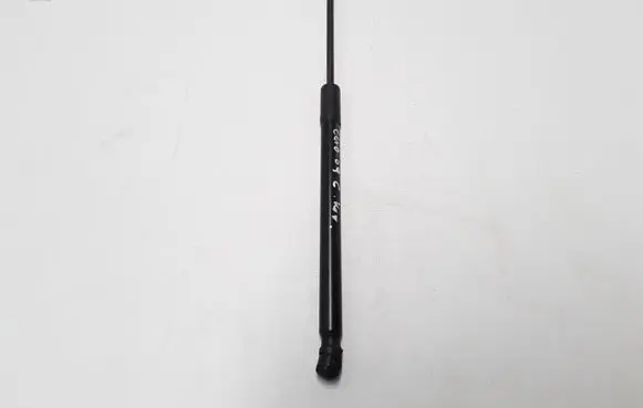 Tailgate strut