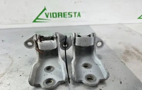 Opel Antara Front door hinge set 12L16