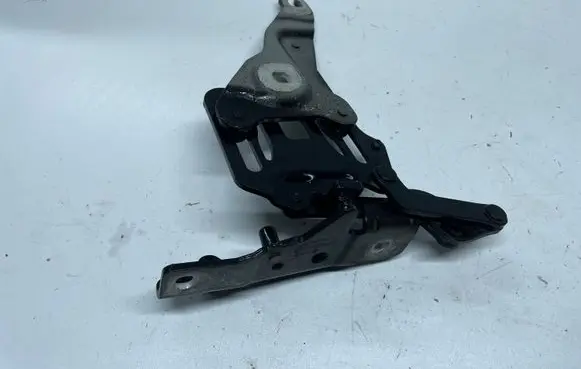 BMW X6 E71 Engine bonnet/hood hinges 7148348