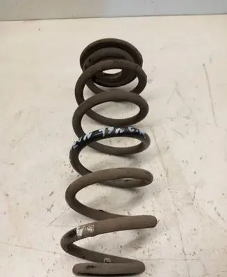Rear coil spring