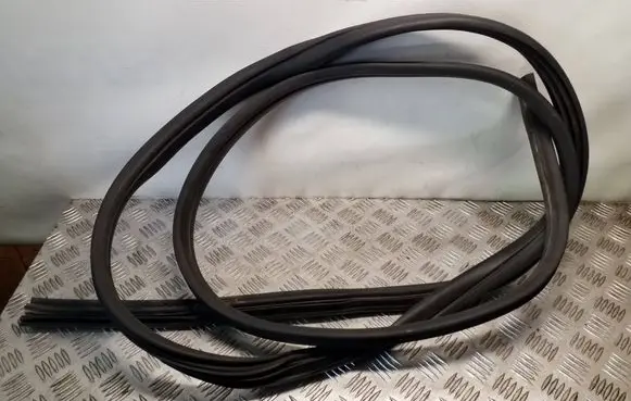 Renault Trafic III (X82) Front door rubber seal