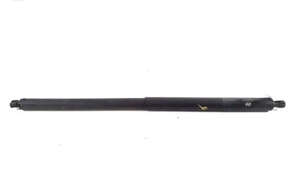 Hyundai Ioniq 5 Tailgate strut 81841GI100