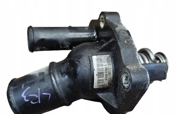 Thermostat/thermostat housing