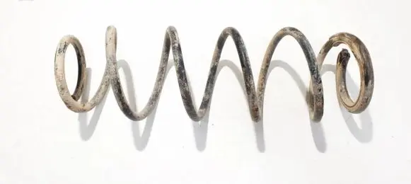 Renault Laguna III Rear coil spring
