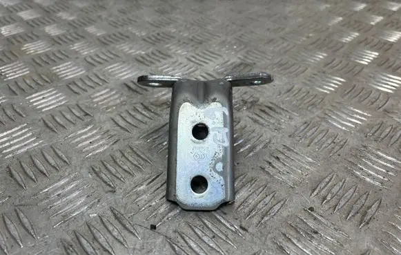 Hyundai Kona I Rear door lower hinge