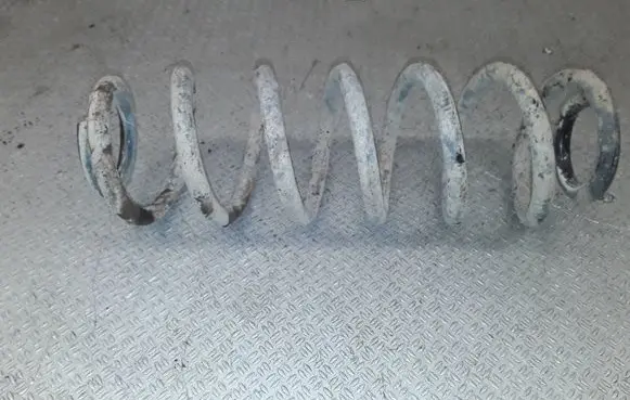 Rear coil spring