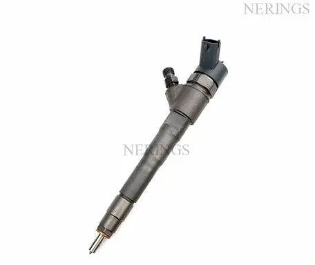 Fiat Ducato Fuel injector 0445110520