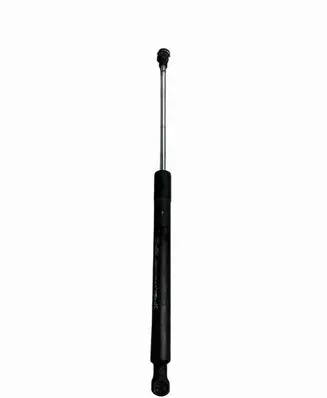 Tailgate/trunk strut/damper