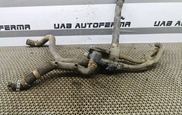 Thermostat/thermostat housing