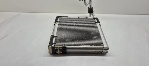 Renault Captur II Air conditioning (A/C) radiator (interior) DT4824650660