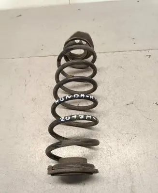 Rear coil spring
