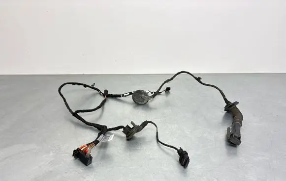 Audi Q5 SQ5 Rear door wiring loom 01112013