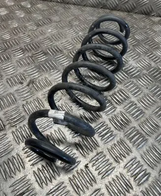 Rear coil spring
