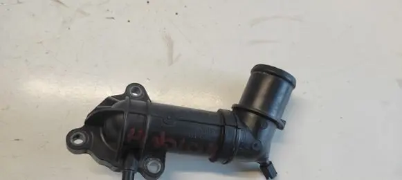 Thermostat/thermostat housing