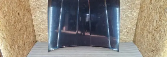 Engine bonnet/hood