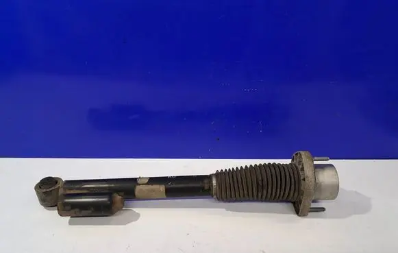 Land Rover Range Rover L405 Rear shock absorber/damper CPLA18080