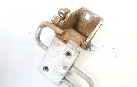 Rear door lower hinge