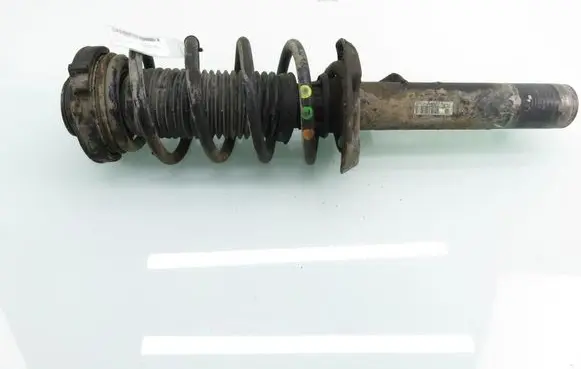 Volkswagen PASSAT B6 Front shock absorber with coil spring 