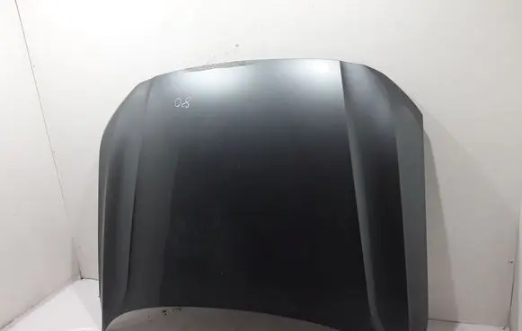 Engine bonnet/hood