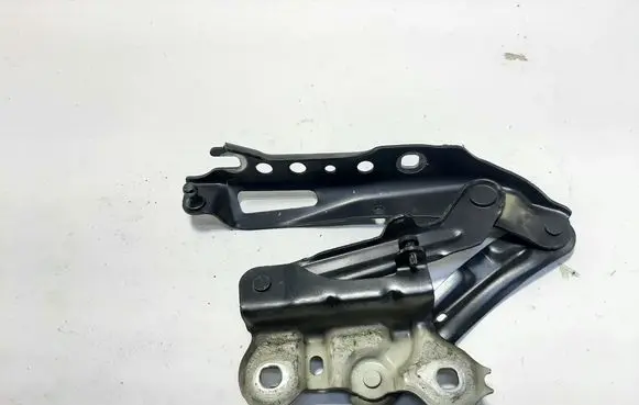 Skoda Superb B8 (3V) Engine bonnet/hood hinges 3V0823302