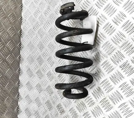 Skoda Enyaq iV Rear coil spring 1EA511103F