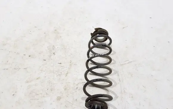 Rear coil spring