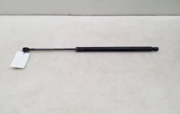 Land Rover Range Rover Sport L320 Tailgate strut 6H32406A10AB