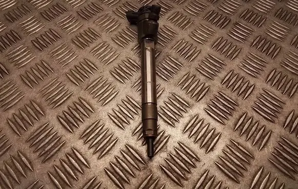 Peugeot 308 Fuel injector 0445110955 9828959880