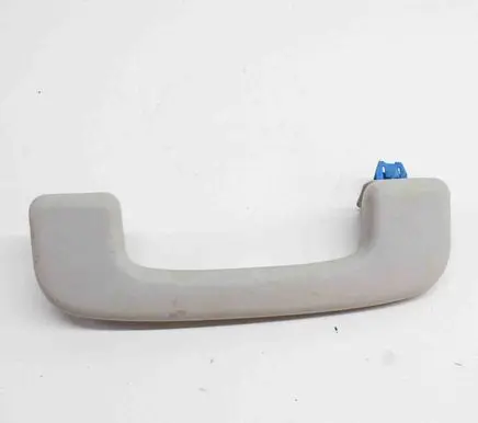 Ford Mustang Mach-E Front interior roof grab handle LC5BA045B14EBW