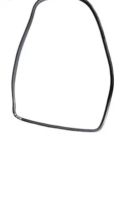 BMW X5 E70 Rubber seal rear door 