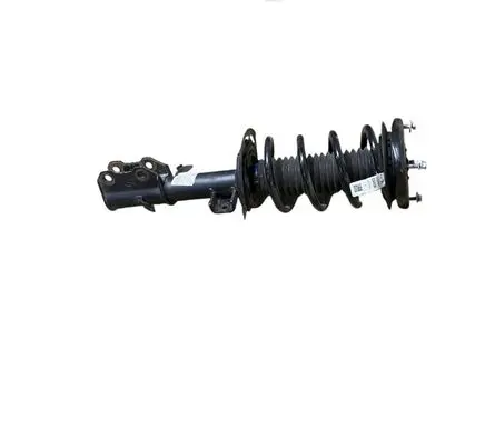 Ford Bronco Front shock absorber with coil spring N1PC18K001AAC LX613K155CNB LX615310FNF