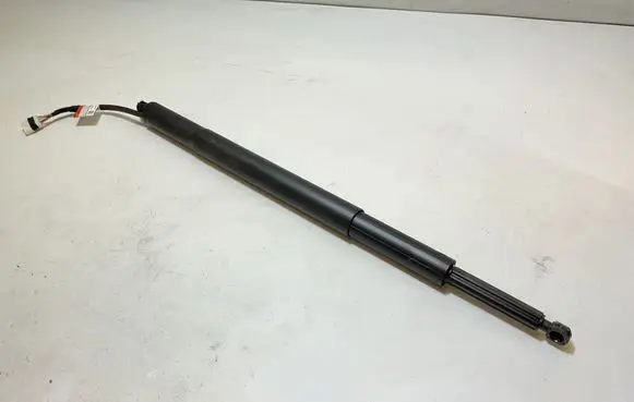BMW 3 G20 G21 Tailgate strut 745341310 C86009106