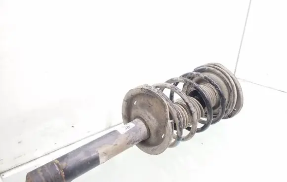 Peugeot 206 Front shock absorber with coil spring