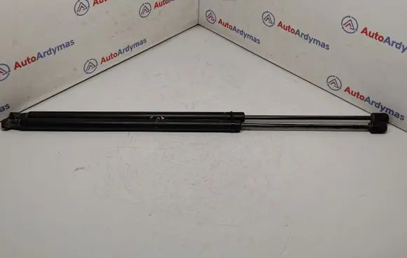 BMW X3 E83 Tailgate strut 3400379 51243400379