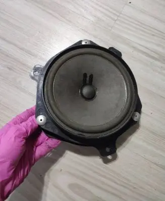Front door speaker