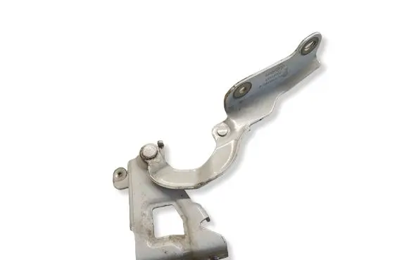 Opel Vivaro Engine bonnet/hood hinges 654019031R 93867557