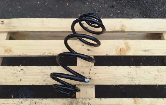Opel Vectra C Rear coil spring